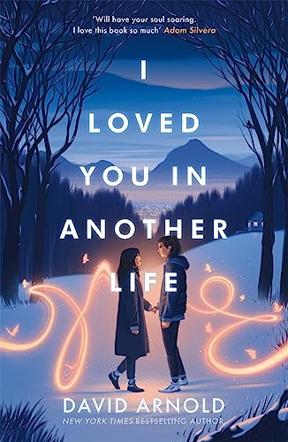 I Loved You In Another Life von Hot Key Books